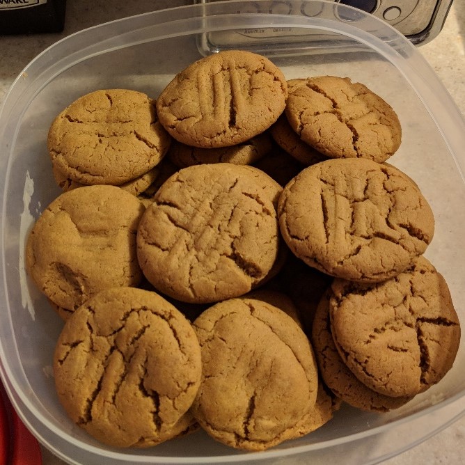 Figure 1: Gingersnaps